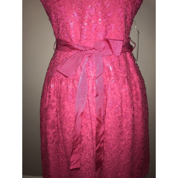 BCBG Max Azria "Katrina" Dark Pink Sequin Lace A-Line Dress, Size 2 NWT! $348 - Picture 6 of 10
